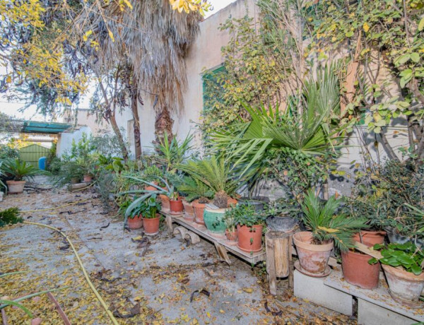 Terreno de unos 20 marjales  con casa de aperos.