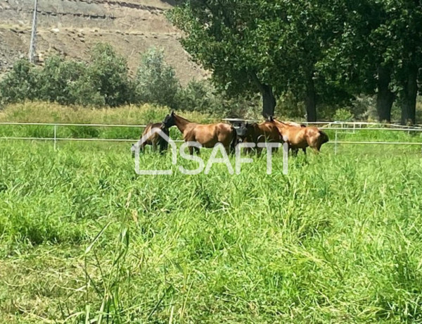 Villa Provenzal con Finca Ecuestre &quot;Un Mas Provençal&quot; en la Comunidad de Madrid