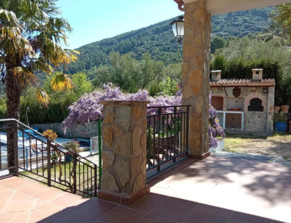 SE VENDE GRAN PARCELA CON OLIVOS, PISCINA Y CHALET