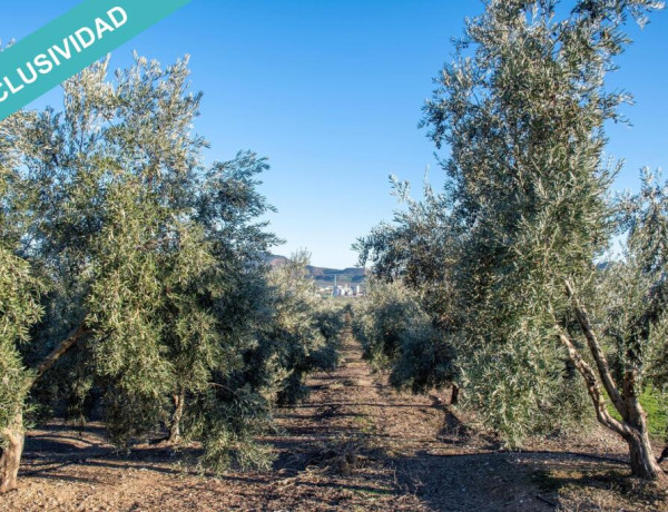 Rustic land For sell in Vilches in Jaén 