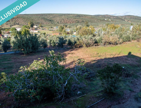 Finca de 7.000 m2 con piscina en Navas de San Juan.