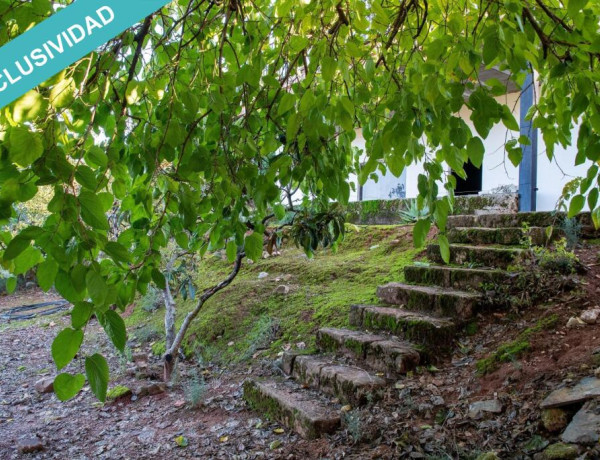 Finca de 7.000 m2 con piscina en Navas de San Juan.