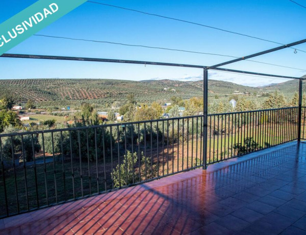 Finca de 7.000 m2 con piscina en Navas de San Juan.