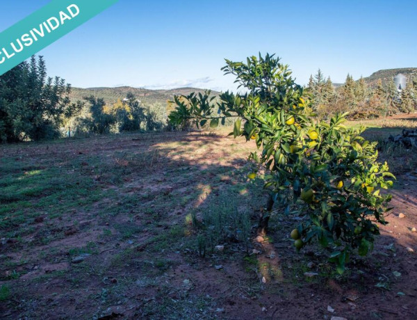 Rustic land For sell in Navas De San Juan in Jaén 