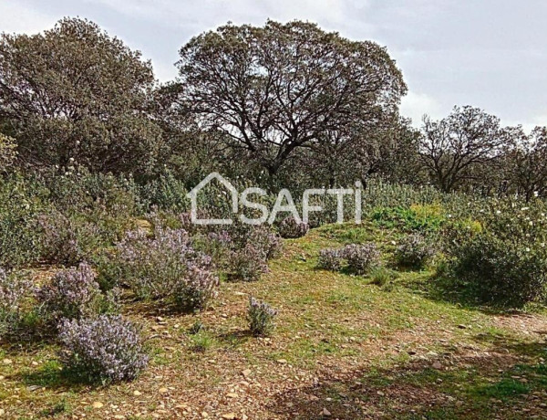 &quot;Construye tu hogar en Sotolargo: Naturaleza y comodidad&quot;