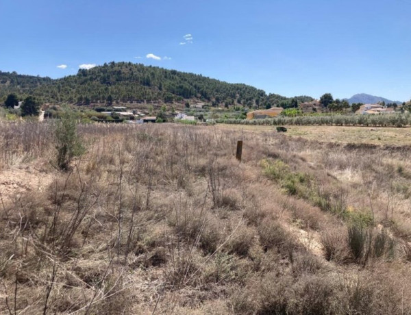 Gran ocasión: Maravilloso terreno donde vivir o cultivar