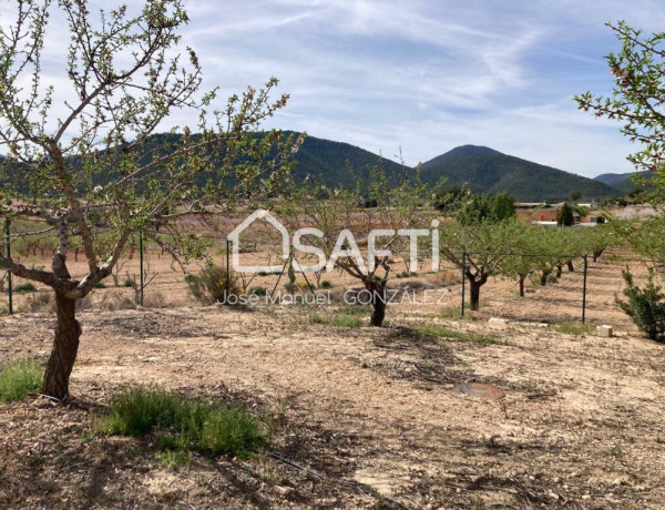 Rustic land For sell in Bullas in Murcia 