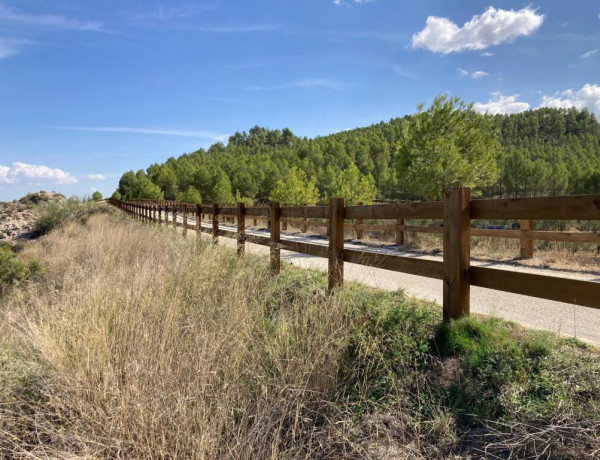 Rustic land For sell in Cehegin in Murcia 