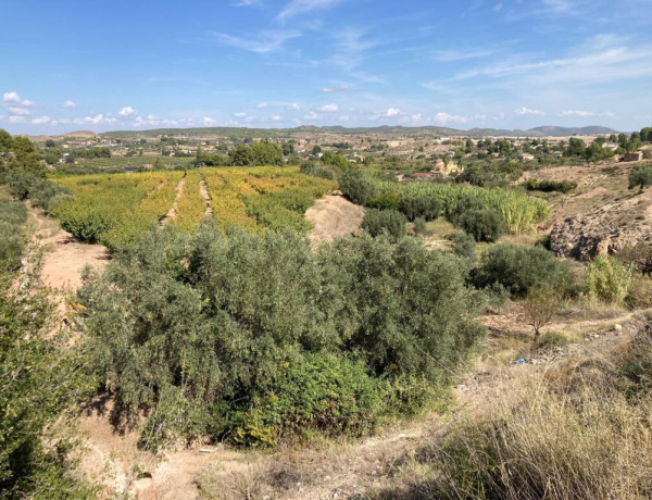 Rustic land For sell in Cehegin in Murcia 
