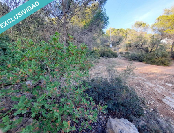 Rustic land For sell in Albalat Dels Taronchers in Valencia 