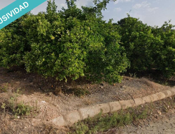 Rustic land For sell in Sellent in Valencia 