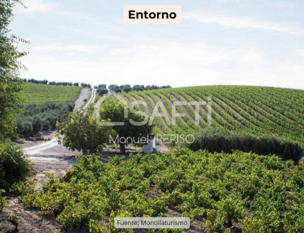 Commercial Premises For sell in Montilla in Córdoba 