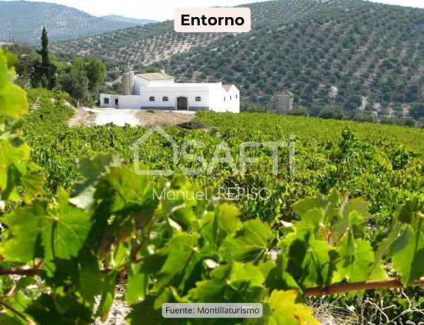 Commercial Premises For sell in Montilla in Córdoba 