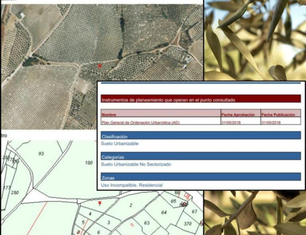 Dos Fincas Excepcionales en Montilla: Oportunidad Única para Inversores