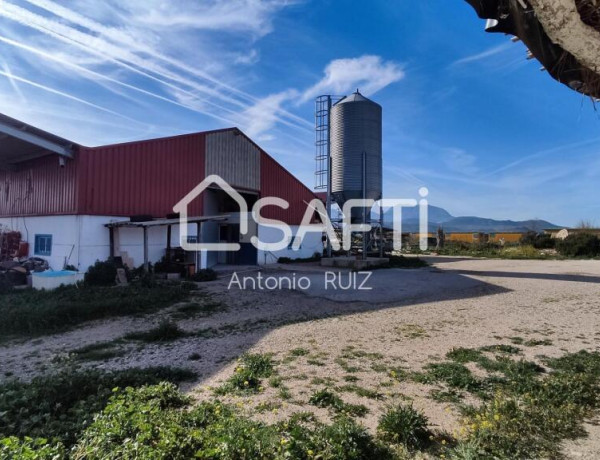 Granja con terreno de unos 20.000 m² y posibilidad de concesión de 200 ha de pastos. Zona Donadio. SIN COMISIÓN DE COMPRA..