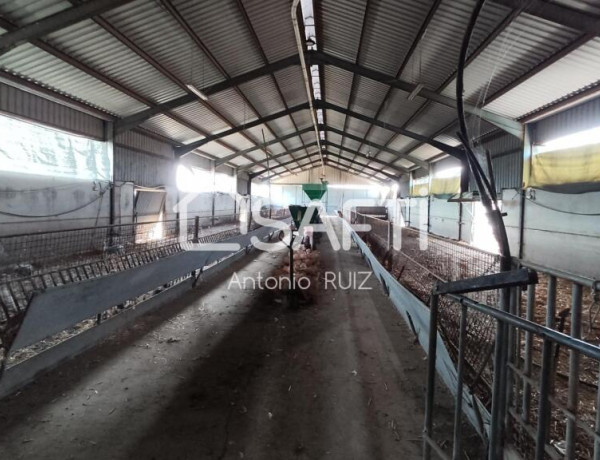 Granja con terreno de unos 20.000 m² y posibilidad de concesión de 200 ha de pastos. Zona Donadio. SIN COMISIÓN DE COMPRA..