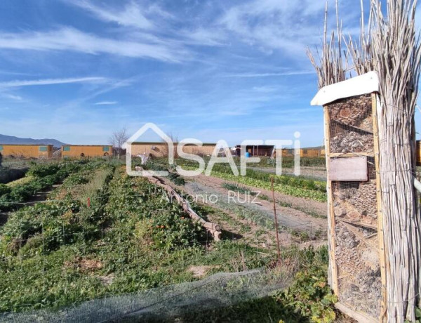 Commercial Premises For sell in Ubeda in Jaén 