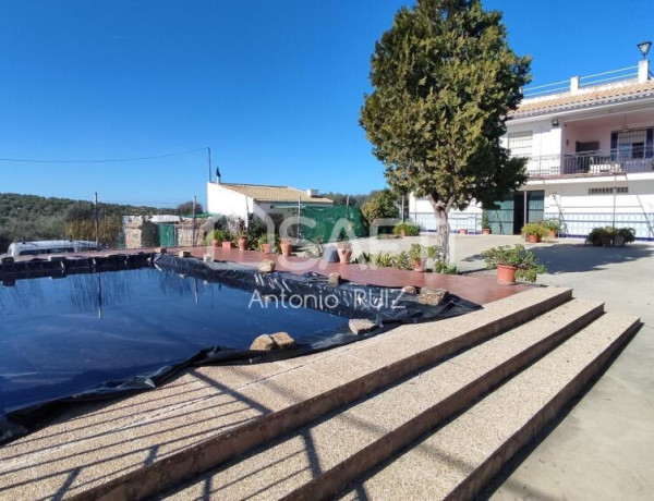 Country house For sell in Ubeda in Jaén 