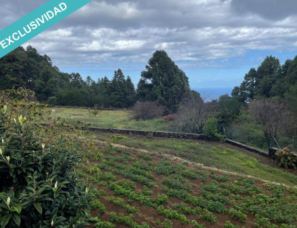 Rustic land For sell in Icod De Los Vinos in Santa Cruz de Tenerife 