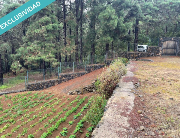 Rustic land For sell in Icod De Los Vinos in Santa Cruz de Tenerife 