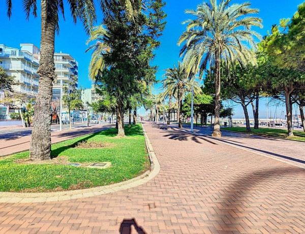 piso planta baja en playa de gandia