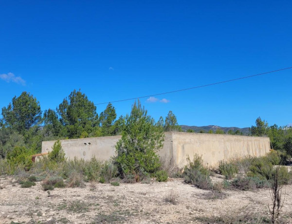 Rustic land For sell in Ontinyent in Valencia 