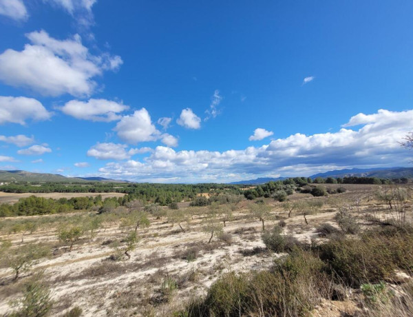 Rustic land For sell in Ontinyent in Valencia 