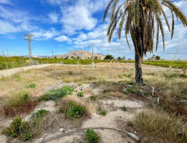 Espectacular OPORTUNIDAD de parcela y estructura con planta americana en Molins, Orihuela.