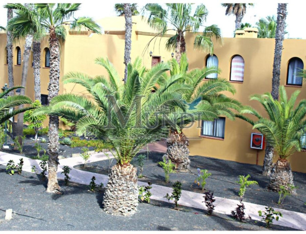 Apartment For sell in Corralejo in Las Palmas 