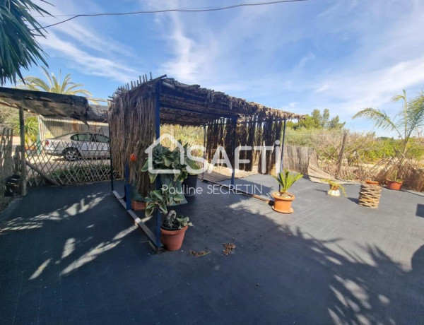 Rustic land For sell in Elche in Alicante 