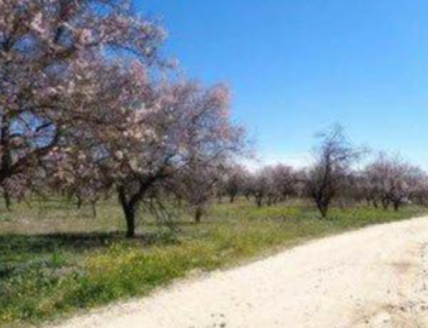 Finca Rústica en Olías del Rey