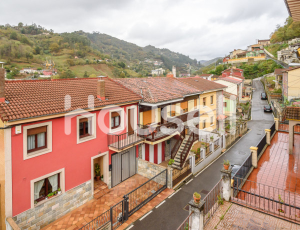 House-Villa For sell in Mieres in Asturias 