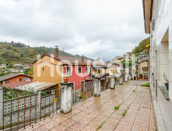 House-Villa For sell in Mieres in Asturias 