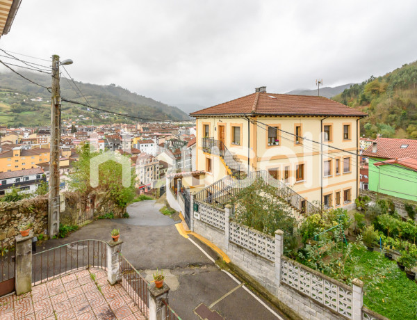 House-Villa For sell in Mieres in Asturias 