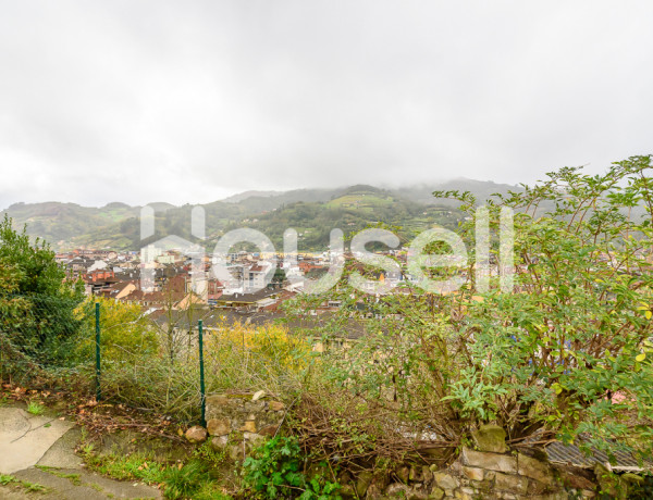 House-Villa For sell in Mieres in Asturias 