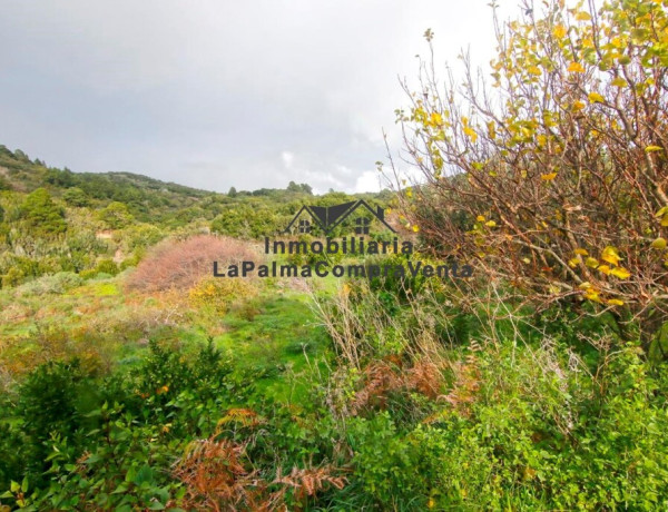 House-Villa For sell in Llano Negro in Santa Cruz de Tenerife 