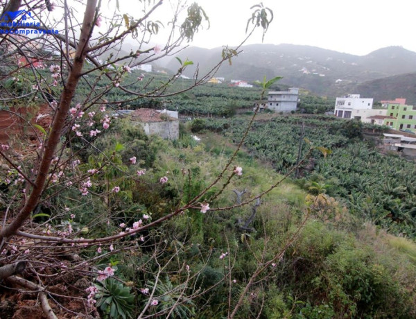 Rustic land For sell in San Andres Y Sauces in Santa Cruz de Tenerife 