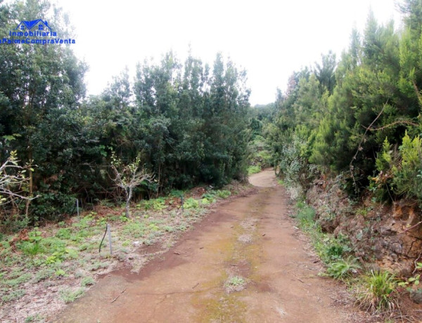 Rustic land For sell in Barlovento in Santa Cruz de Tenerife 