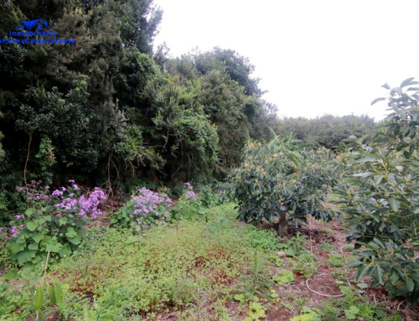 Rustic land For sell in Barlovento in Santa Cruz de Tenerife 