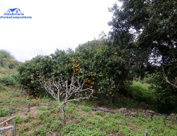 Suelo rústico en Venta en Barlovento Santa Cruz de Tenerife 