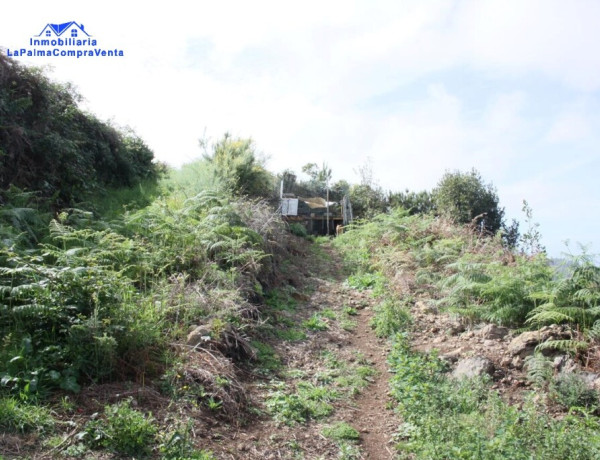 Rustic land For sell in Realejo Alto in Santa Cruz de Tenerife 