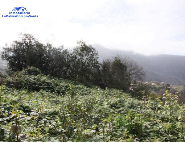 Rustic land For sell in Realejo Alto in Santa Cruz de Tenerife 