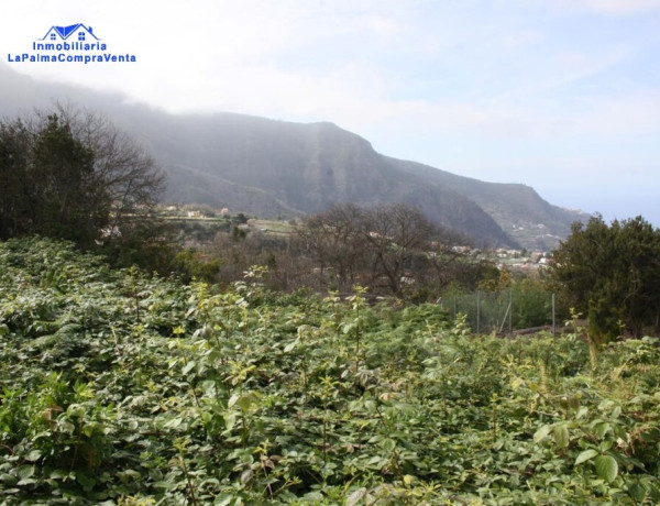 Rustic land For sell in Realejo Alto in Santa Cruz de Tenerife 