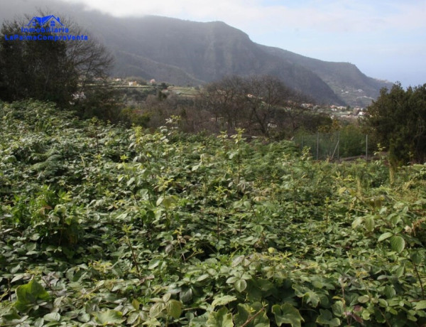 Rustic land For sell in Realejo Alto in Santa Cruz de Tenerife 