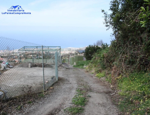 Rustic land For sell in Realejo Alto in Santa Cruz de Tenerife 