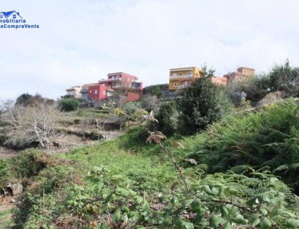 Rustic land For sell in Realejo Alto in Santa Cruz de Tenerife 