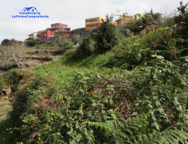 Rustic land For sell in Realejo Alto in Santa Cruz de Tenerife 