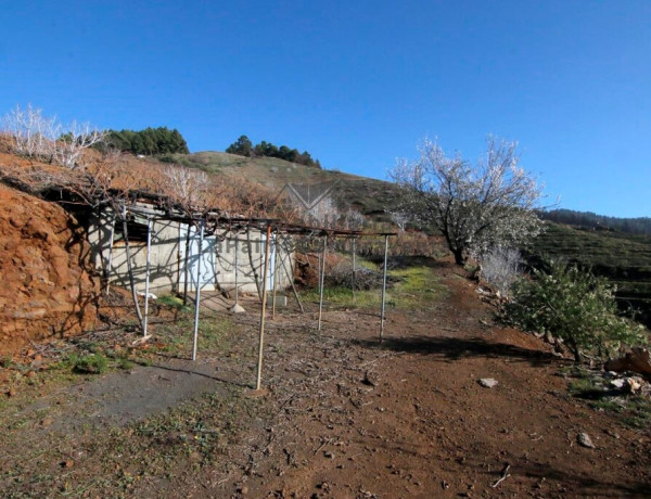 Suelo rústico en Venta en Puntagorda Santa Cruz de Tenerife 