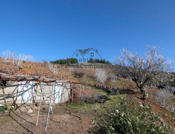 Suelo rústico en Venta en Puntagorda Santa Cruz de Tenerife 