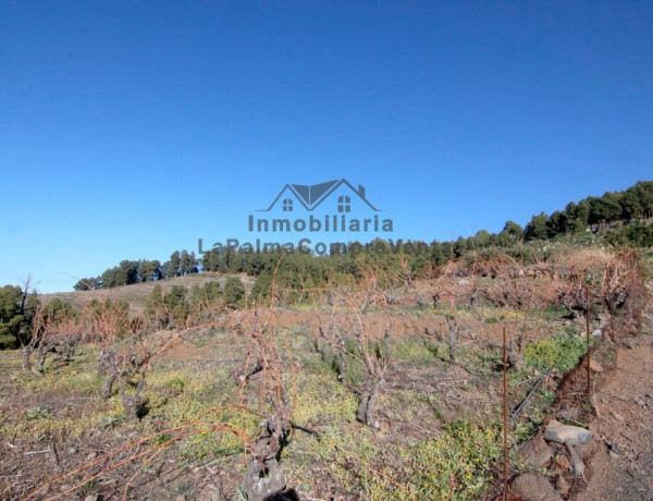 Suelo rústico en Venta en Puntagorda Santa Cruz de Tenerife 